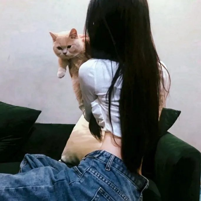 狸太怨